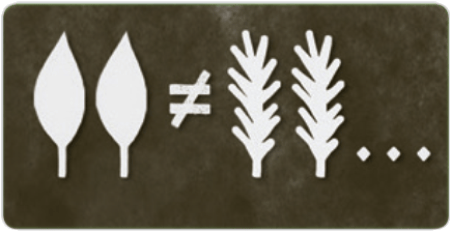 桌遊 Herbaceous