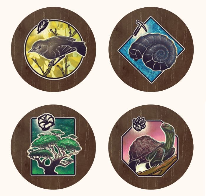桌遊 Darwins Journey