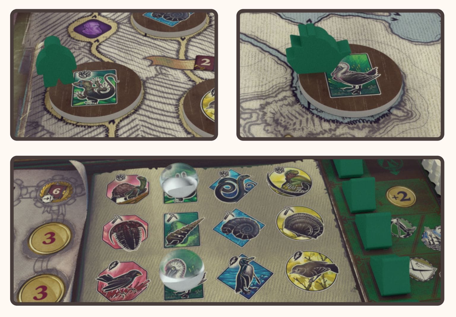 桌遊 Darwins Journey